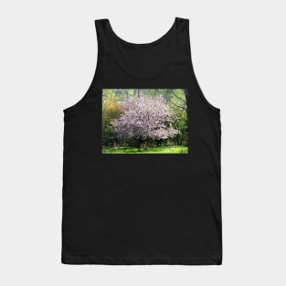 Apple Tree In Blossom Tank Top